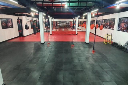 Imagen 1 de la galería del partner Alan Garcia Box Crossfit Gym