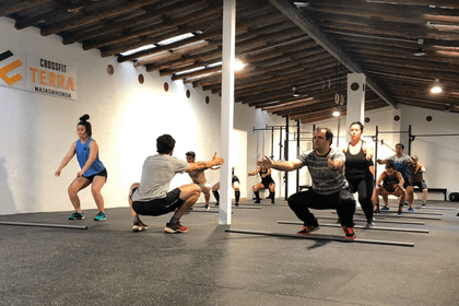 Imagen 1 de la galería del partner Terra Crossfit