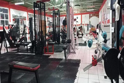 Imagen 2 de la galería del partner Leo Gym