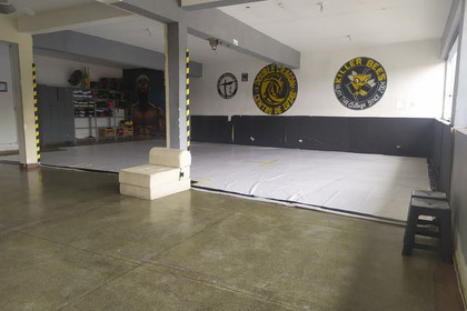 Imagem 1 da galeria do parceiro Centro de Lutas Double Dragon