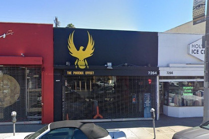 Image 2 from The Phoenix Effect partner gallery