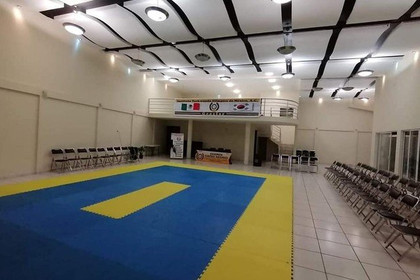 Imagen 5 de la galería del partner Instituto De Taekwondo Olimpico Doyang Grasfer