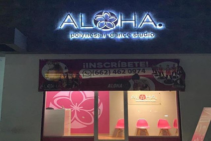 Imagen 2 de la galería del partner Aloha Dance Fit Portillo