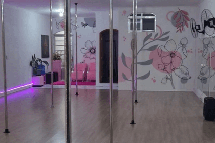 Imagem 3 da galeria do parceiro Princess Pole Dance - Vila Formosa