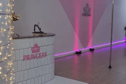 Imagem 4 da galeria do parceiro Princess Pole Dance - Vila Formosa