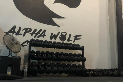 Imagen 8 de la galería del partner Alpha Wolf Wellness Center