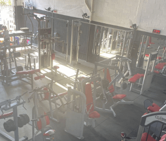 Imagem 4 da galeria do parceiro Academia Total Fitness Florianópolis
