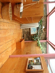 Imagen 5 de la galería del partner Tetetlán Conscicencia