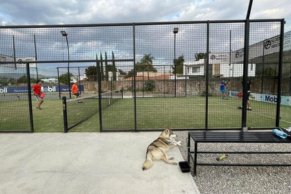 Imagen 2 de la galería del partner Padel Zone Sur