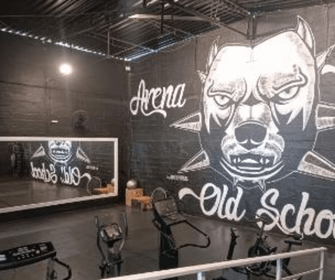 Imagem 1 da galeria do parceiro Arena Pitbull Old School