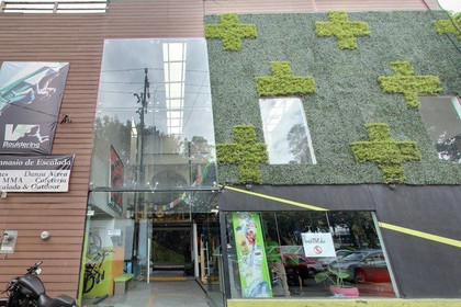 Imagen 2 de la galería del partner V+Bouldering and Sport Center