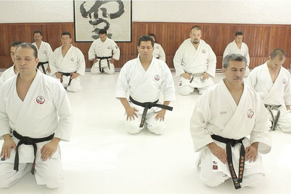 Imagen 2 de la galería del partner Goju Kan Inglaterra
