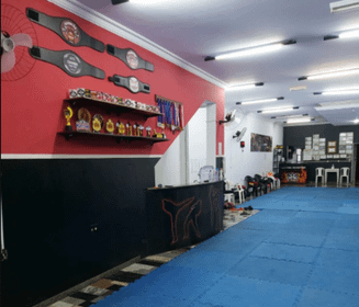 Imagem 3 da galeria do parceiro In Fight Muay Thai