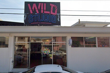 Imagen 2 de la galería del partner Wild Studio
