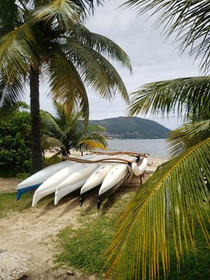 Imagem 3 da galeria do parceiro Haka Va'A Clube De Canoa Polinésia