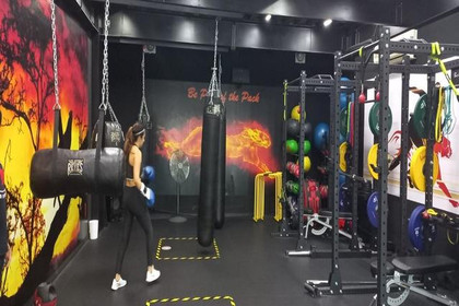 Imagen 6 de la galería del partner Wild Fitness