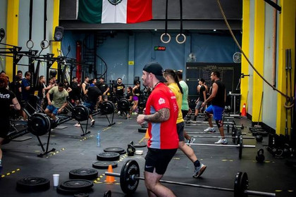 Imagen 4 de la galería del partner Lion Fitness