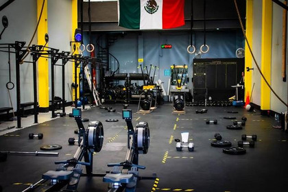 Imagen 1 de la galería del partner Lion Fitness