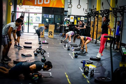 Imagen 6 de la galería del partner Lion Fitness