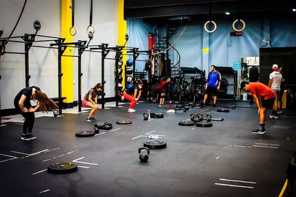 Imagen 7 de la galería del partner Lion Fitness