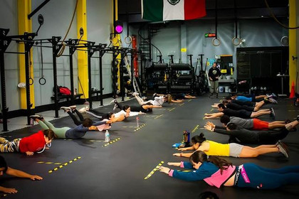 Imagen 8 de la galería del partner Lion Fitness