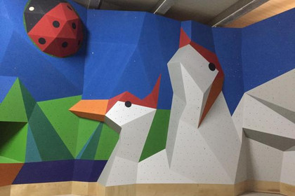 Imagen 6 de la galería del partner Indoorwall Valencia