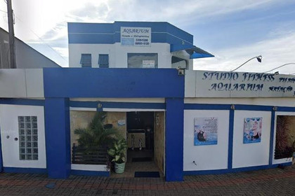 Imagem 2 da galeria do parceiro Aquarium Escola de Natação
