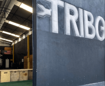 Imagem 7 da galeria do parceiro Tribo Fitness