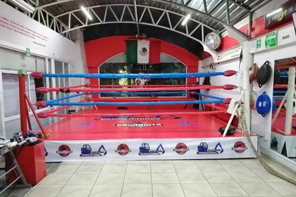 Imagen 1 de la galería del partner La Escuela de Box Lomas Verdes Oaxaquita Box
