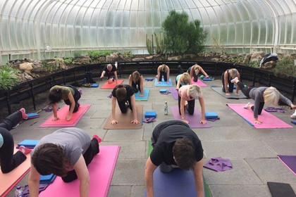 Image 1 from Pilates Glasgow partner gallery