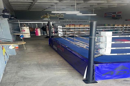 Imagen 2 de la galería del partner Undisputed Boxing