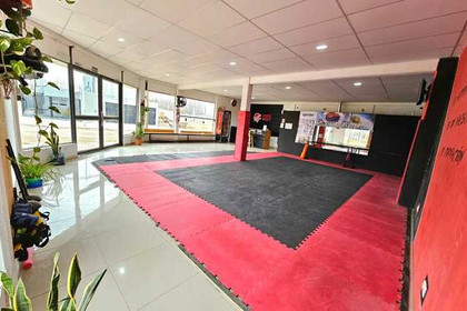 Imagen 1 de la galería del partner Academia Wolf
