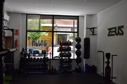 Imagen 3 de la galería del partner Zeus - More Than Just Training