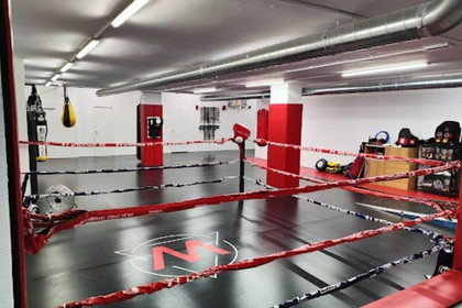 Imagen 1 de la galería del partner The Warriors Martial Arts Club