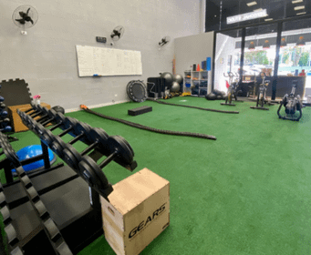 Imagem 1 da galeria do parceiro LS Trainer - Personal Studio