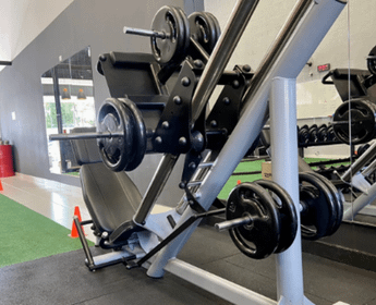 Imagem 3 da galeria do parceiro LS Trainer - Personal Studio