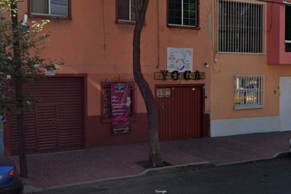 Imagen 2 de la galería del partner Loto de Jade