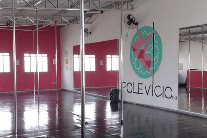 Imagem 1 da galeria do parceiro Pole Vicio Pole Dance & Fitness Studio