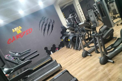 Imagen 3 de la galería del partner Leones Gym