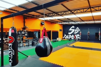 Imagem 3 da galeria do parceiro Performance Gym Rgt