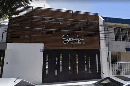 Imagen 2 de la galería del partner Serendipia