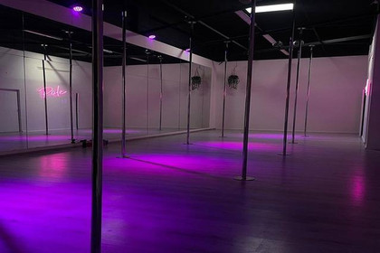 Imagen 1 de la galería del partner Pole House Ags