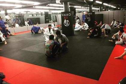 Image 3 from Valko Brazilian Jiu-Jitsu Academy partner gallery
