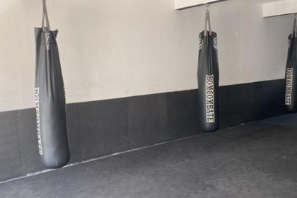 Imagem 2 da galeria do parceiro Iron Guard