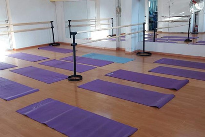 Imagen 1 de la galería del partner Barre Art Body Sede Ramos Mejía
