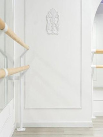 Imagen 5 de la galería del partner Daniela León Dance Studio