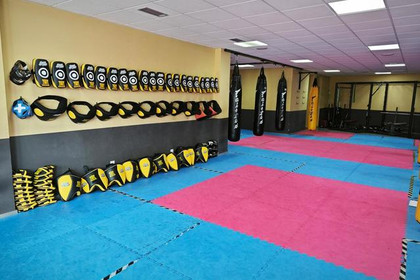 Imagen 1 de la galería del partner Odin team Telde