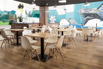 Imagen 5 de la galería del partner Indoorwall Jaca