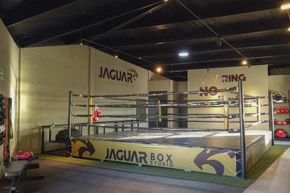 Imagen 1 de la galería del partner Jaguar Box Studio