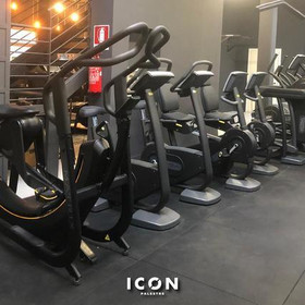 Immagine 1 dalla galleria del partner ICON PALESTRE Imola